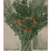 Dried Flowers - Skateboard - Image 3